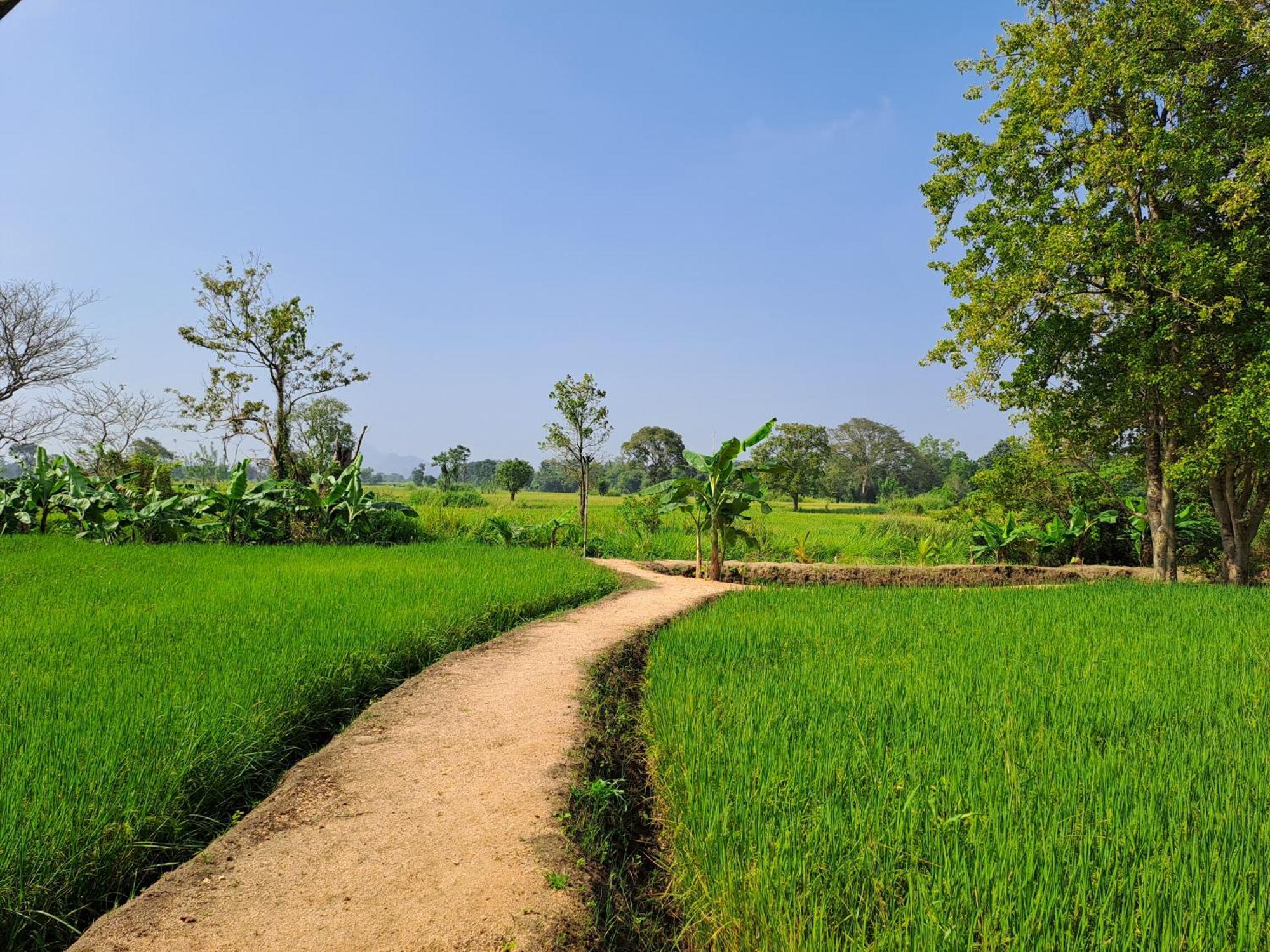 The Nature Park Villa Sigiriya Exterior foto